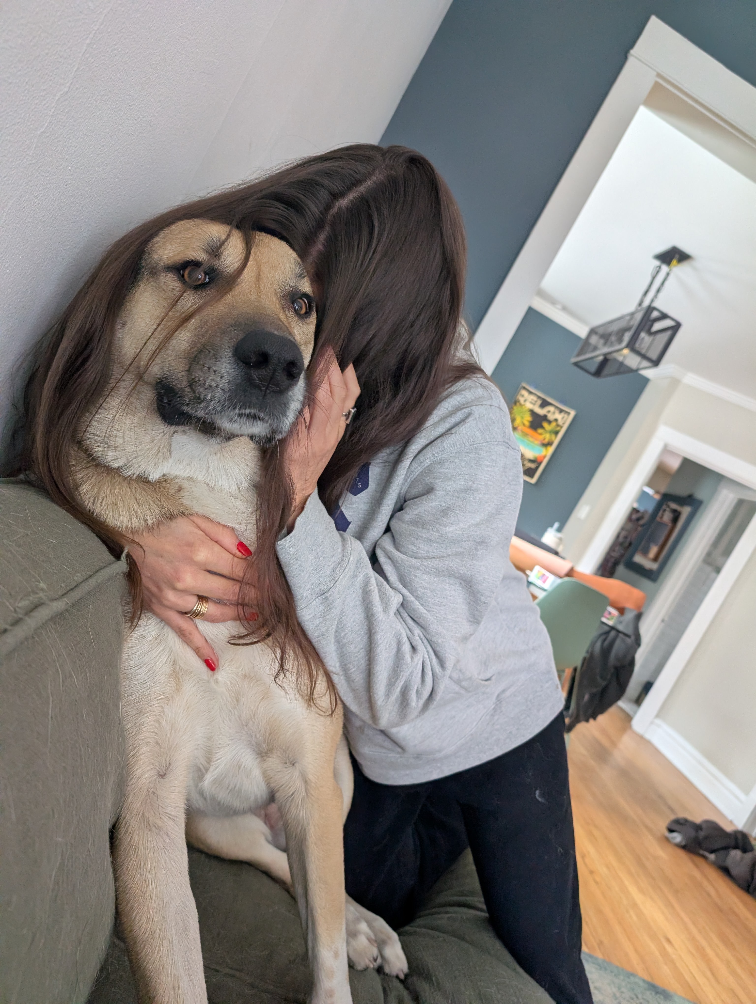 Ruby the dog lounging on a couch with her human